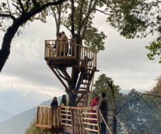 A View from the Top: The Tree top viewing tower at RDTC, Zhemgang blog image